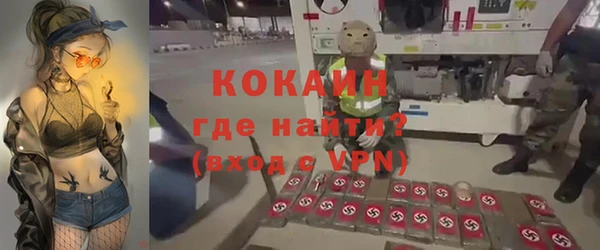прущие грибы Протвино