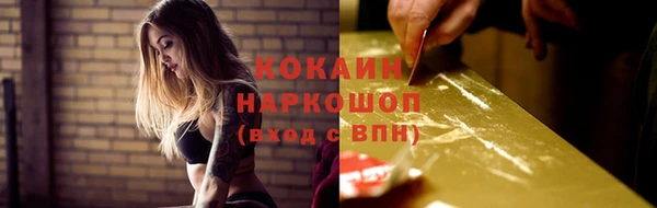 мяу мяу мука Кодинск