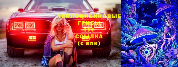 PSILOCYBIN Елабуга