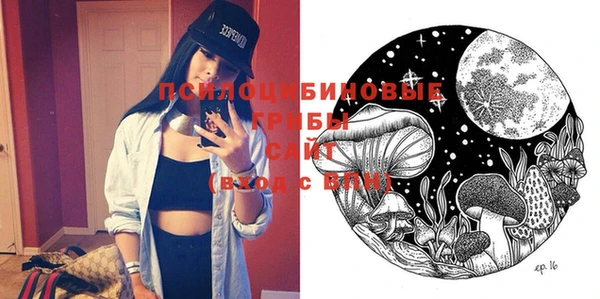 PSILOCYBIN Елабуга
