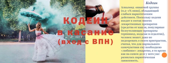 спиды Елизово