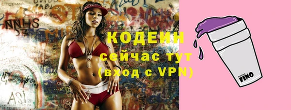 PSILOCYBIN Елабуга
